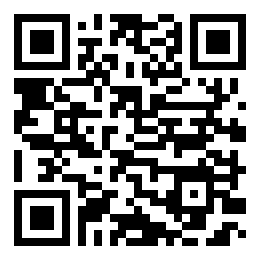 QR codes w31